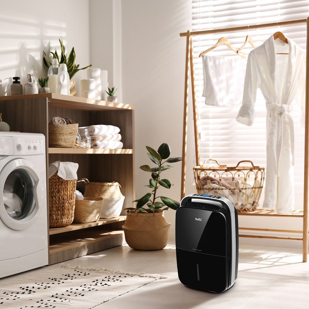 Изображение для товара Ballu BD30MN BLACK